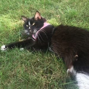 Meet your Posher, Elinore